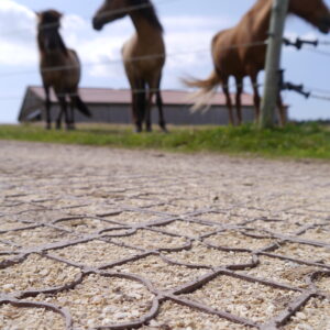 Ecoraster